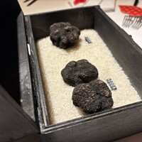 マルゴット エ バッチャーレ - 