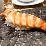 和泉鮨 - エビ