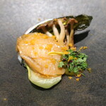 灯 - 鮑のステーキ