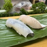 亀庄寿司 - ヤリイカ・ヒラス