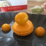 ダロワイヨ - 料理写真: