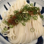 江戸堀 木田 讃岐うどん - 
