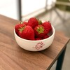 いちごはうす15