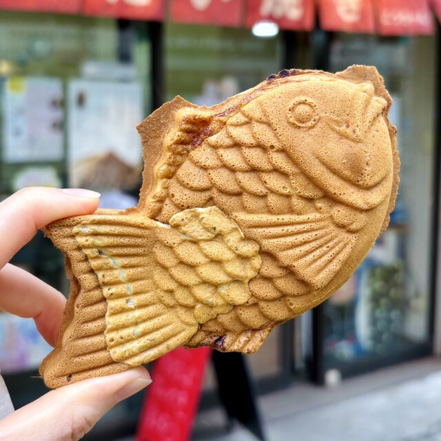Taiyaki Kochan!