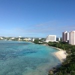 Tree Bar - 部屋からの眺める