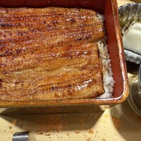 うなぎ 目白ぞろ芽 - 明るい焼き色、炙りは弱いが、うなぎの味に遜色なし