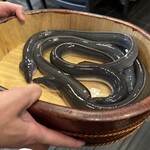 銀座 四代目 高橋屋 銀座店 - 