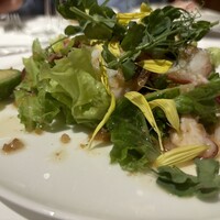 THE ROSE - 