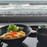 光る海 - 生ホタテ丼