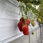 長久手ハーベストファーム - 料理写真: