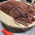 鍋・海鮮居酒屋 伊勢海老 たくと 大阪本町店 - 