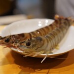 竹梅 - 天ぷらになる前の海老ちゃん