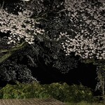 金沢犀川温泉 川端の湯宿 滝亭 - 