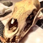 横浜馬車道 旬の肉料理イタリアン オステリア・アウストロ - 恒例のご本人、登場！