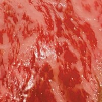 和牛焼肉じろうや 介 wagyu&sake 名古屋駅前本店 - 