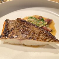NeMo - 