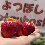 姫路ハートフル観光農園 - 