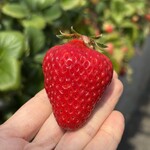 姫路ハートフル観光農園 - 