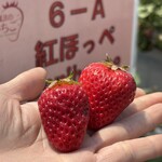 姫路ハートフル観光農園 - 