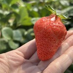 姫路ハートフル観光農園 - 