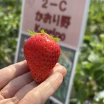 姫路ハートフル観光農園 - 