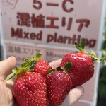 姫路ハートフル観光農園 - 