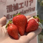 姫路ハートフル観光農園 - 