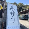 井上酒造