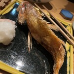 代官山ひなた - 