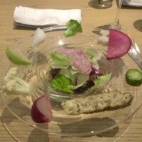 MOTORA  - 