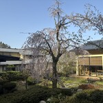 金沢犀川温泉 川端の湯宿 滝亭 - 