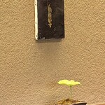 鎌倉 北じま - 内観