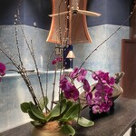 Four Seasons Resort - 