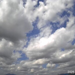 南房総 やまと寿司 - 