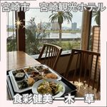 食彩健美 一木一草 - 