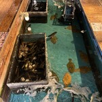 釣船茶屋ざうお 目黒店 - 