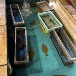 釣船茶屋ざうお 目黒店 - 