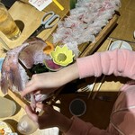 釣船茶屋ざうお 目黒店 - 