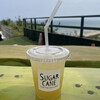 SUGAR CANE