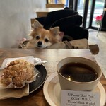 BECAUSE COFFEE BREWERS - 