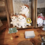 LAGON  CAT COFFEE  - 