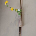 そば切り こごろ - 花