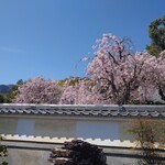 そば切り こごろ - 正法寺外から