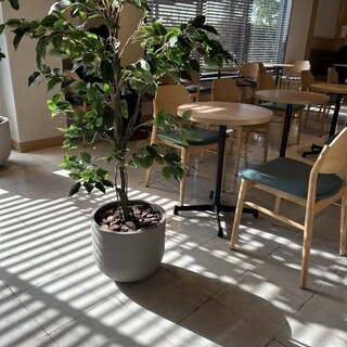 ドトールコーヒーショップ_2