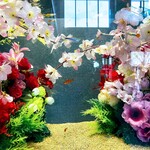 すし 堺 - ［全く関係の無い、別の日］①市内、某所。3月。