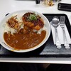 オリエンタルカレー＆焼きスパ - オリエンタル味噌カツカレー