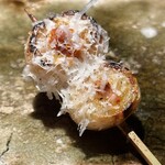 炭焼 おかげさん - ペコロス、羊のチーズ