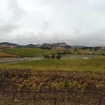 Cuvaison Estate Wines - Cuvaison Estate Wines Carneros Tasting Room