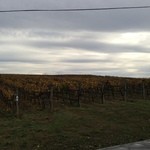 Cuvaison Estate Wines - Cuvaison Estate Wines Carneros Tasting Room