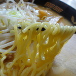 春日食堂 - 麺アップ